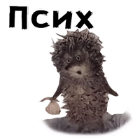 Ёжик в тумане