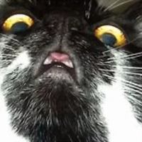 Favorite #1 (by @jeesson )