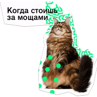 Позируй Псина