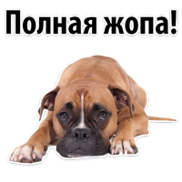 ЩЕНКИ @TuristasTV 