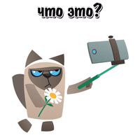 Кот Вредина @stickerus
