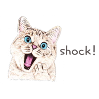 Nala & White Coffee Cat