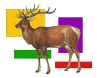 Кобыла и Трупоглазые Жабы