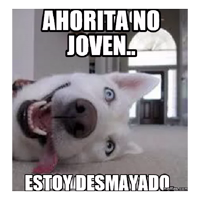 ahorita no joven