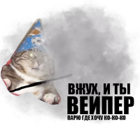 Кот вжух