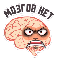 МОЗГ @TuristasTV 