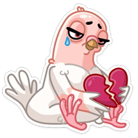 Голуба :: @stickroom 