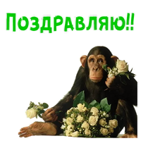 Женский день :: @animesticks 