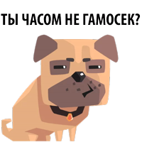 Злобный Мопс @TuristasTV 