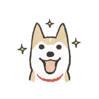 Shiba Inu