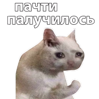 Котичи