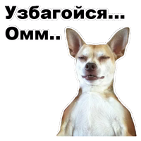 Псы @eeZee_stickers 