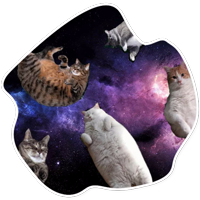 SpaceCats @StikeryTG 