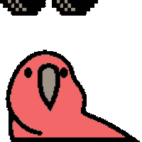 Party Parrot Animated