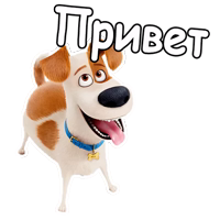 @animesticks  :: Тайная жизнь домашних животных