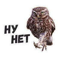 Жиза сов @lennysticker 