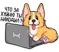 корги кодеры (@kotypic )