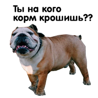 Zhora Only Nuce Sticker Pack 0.1