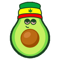 Avocadik