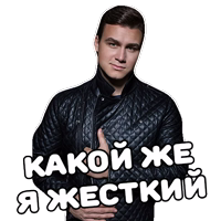 НИколай Соболев. (@everydaysticker )