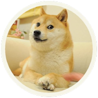 ✨ Акита-ину @lennysticker 