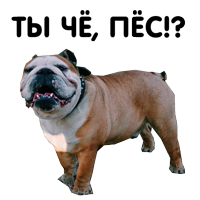 Zhora Only Nuce Sticker Pack 0.1