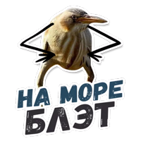 ТАК БЛЭТ @StikeryTG 