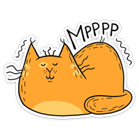 Котик Желток