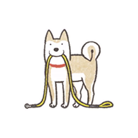 Shiba Inu