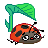 Ladybug