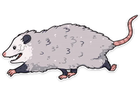 awesomepossum (@kotypic )