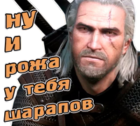 The witcher