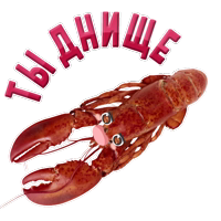 Твой товарищ по команде