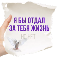 Честные Записки @TuristasTV 